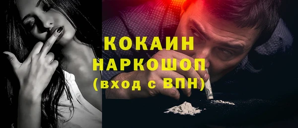 шишки Пестово