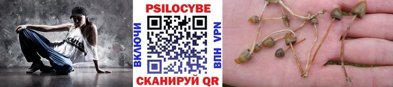 Псилоцибиновые грибы MAGIC MUSHROOMS Ясногорск